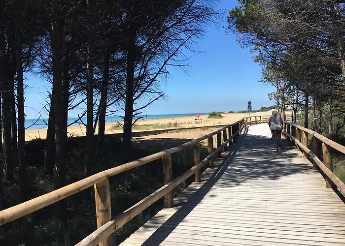 Tre C ビビオーネ